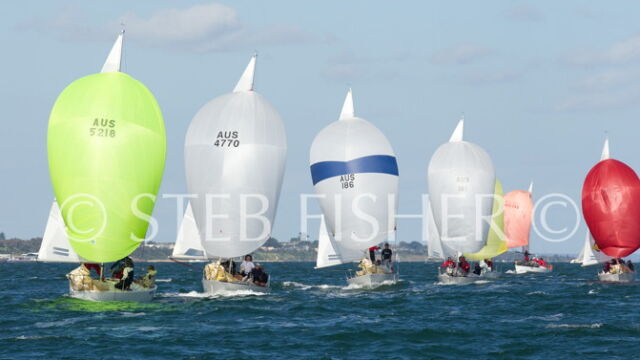 Sydney 38 and J24 State Titles, SYC